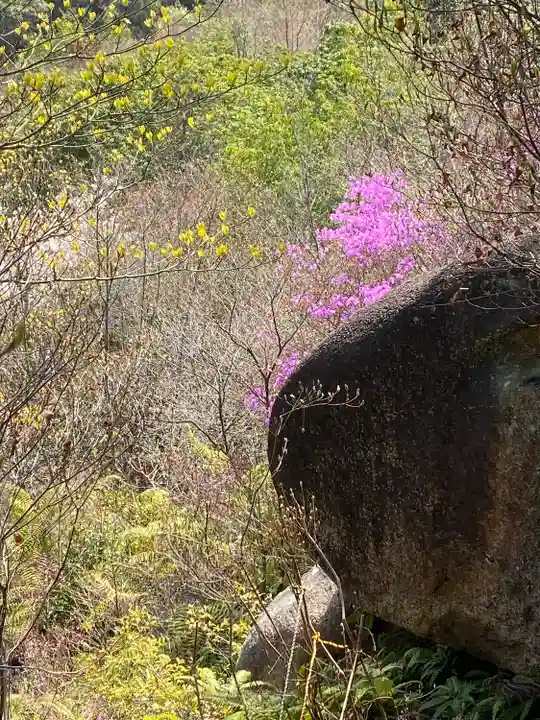 早瀧比咩神社(岡山県)