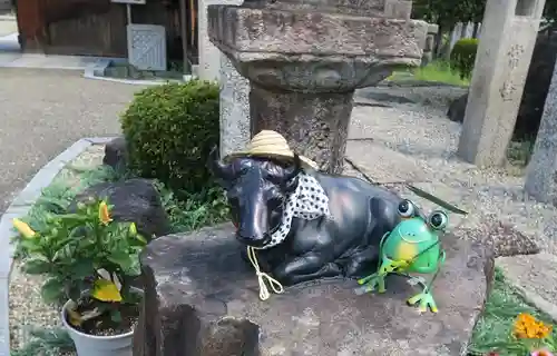 大松禅寺の狛犬