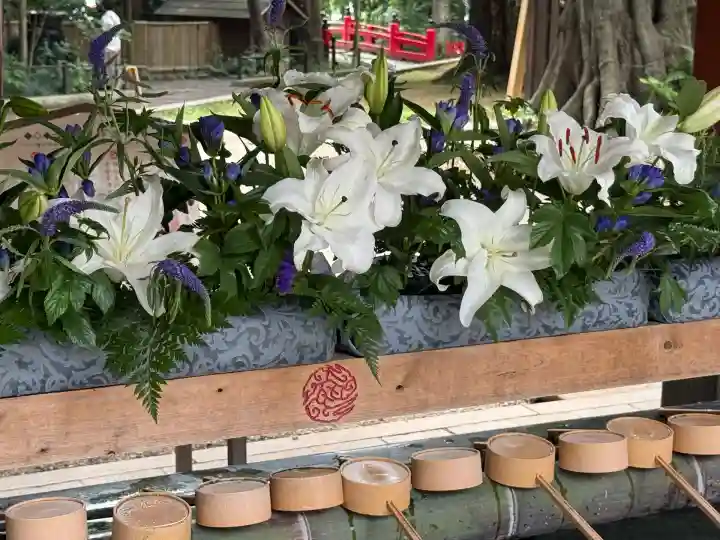 武蔵一宮氷川神社(埼玉県)