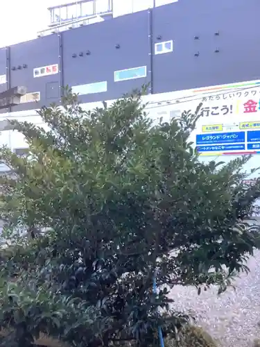 三輪神社の動物