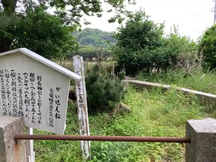 若宮八幡神社の自然