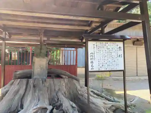 八坂神社(群馬県)