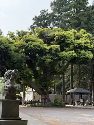 諏訪神社(神奈川県)