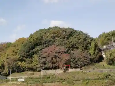 石床神社旧社地の自然