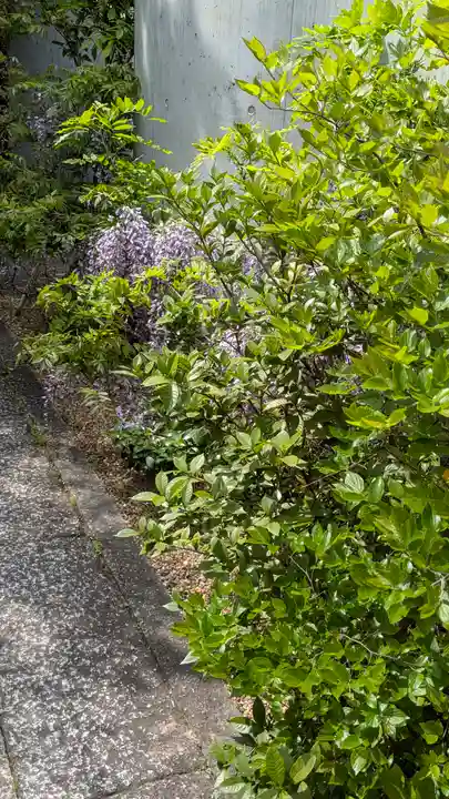 尊陽院(京都府)