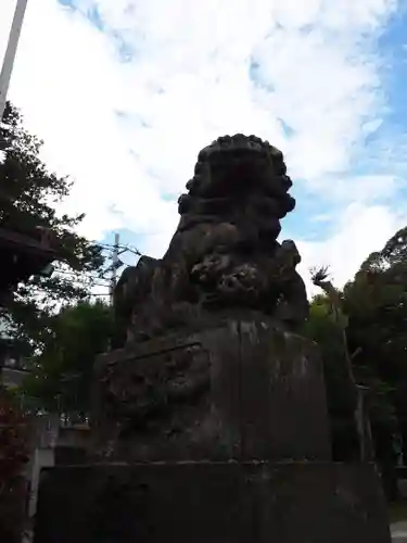 高円寺天祖神社の狛犬