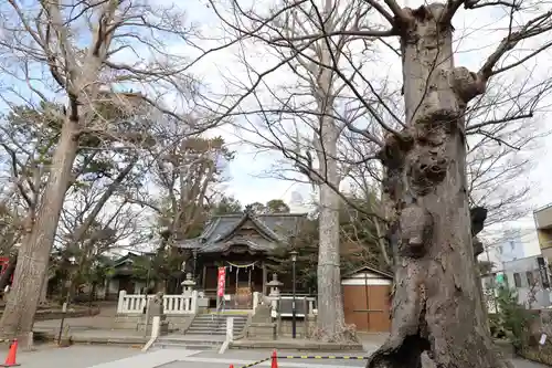 亀岡八幡宮（亀岡八幡神社）(神奈川県)
