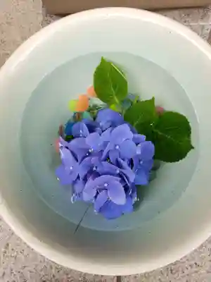 白金氷川神社の手水舎