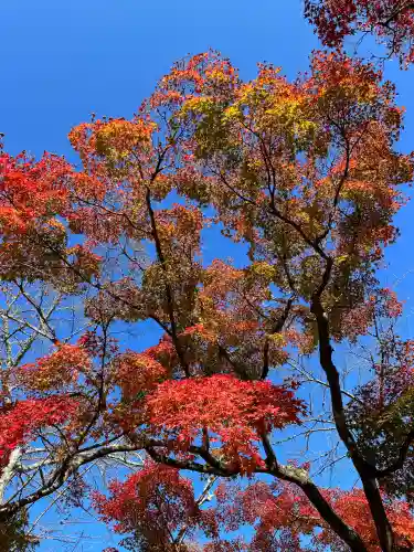 西教寺(滋賀県)