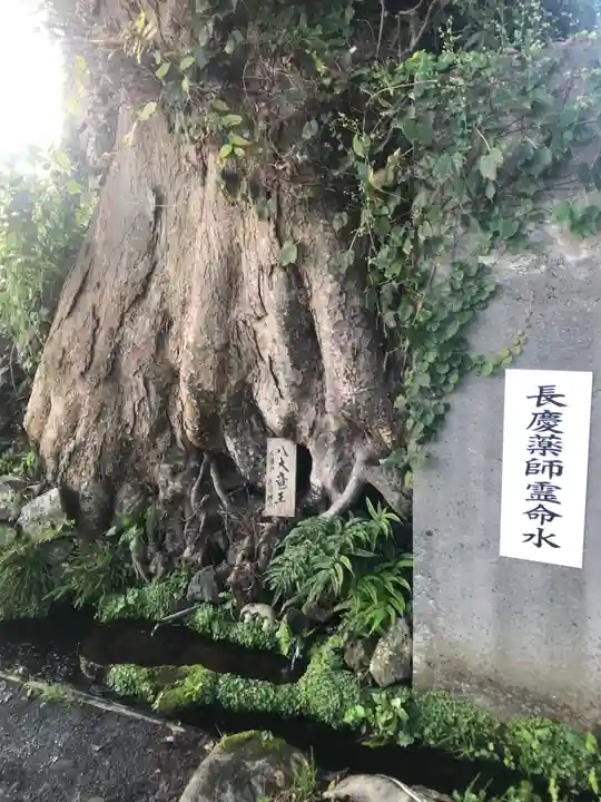 長慶寺(山梨県)