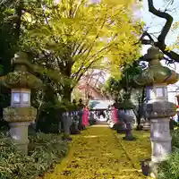 神炊館神社 ⁂奥州須賀川総鎮守⁂の景色