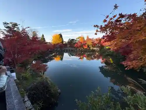 禅林寺（永観堂）(京都府)