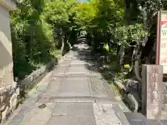 高台寺（高台寿聖禅寺・高臺寺）(京都府)