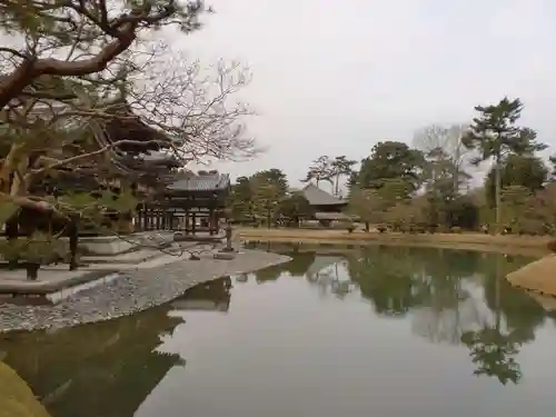 平等院の庭園
