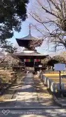 鑁阿寺の建物その他