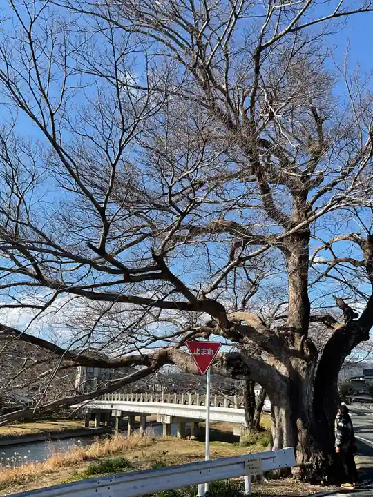 若宮八幡社(愛知県)