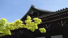 光明寺（粟生光明寺）の建物その他