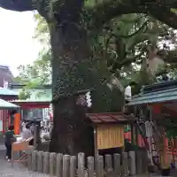 熊野那智大社の{uncategorized: "未分類", other: "その他", undefined: "問題あり", building: "その他建物", grave: "お墓", sacred_gate: "鳥居", guardian: "狛犬", statue: "像", buddha: "仏像", history: "歴史", nature: "自然", garden: "庭園", animal: "動物", pagoda: "塔", temizu: "手水舎", mountain_gate: "山門・神門", sanctuary: "本殿・本堂", subordinate: "末社・摂社", art: "芸術", scenery: "景色", jizo: "地蔵", ema: "絵馬", goshuin: "御朱印", omikuji: "おみくじ", items: "授与品その他", amulet: "お守り", goshuincho: "御朱印帳", eats: "食事", festival: "お祭り", votive_dance: "神楽", shichigosan: "七五三参", wedding: "結婚式", experience: "体験その他", initially: "初詣", around: "周辺", anti_infection: "感染症対策"}