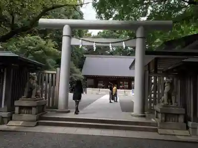 乃木神社の鳥居
