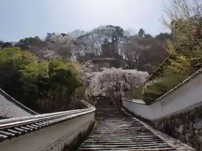 長谷寺のその他建物
