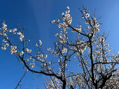 上里菅原神社(埼玉県)