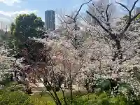 清水観音堂(東京都)