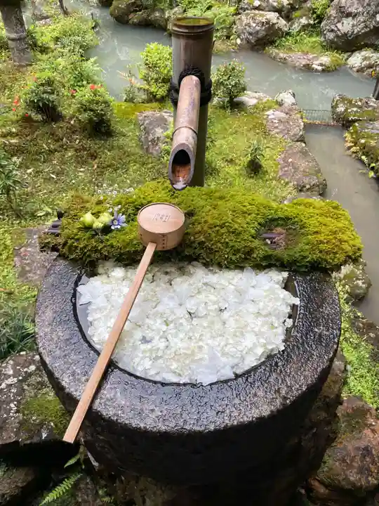 柳谷観音 楊谷寺(京都府)