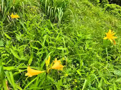 八溝嶺神社(茨城県)