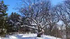 相馬神社(北海道)