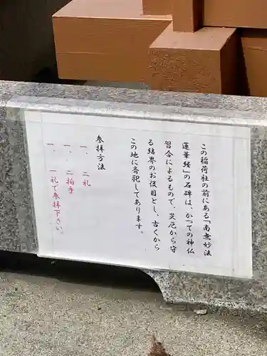 阿蘇白水龍神權現～白蛇神社～の歴史