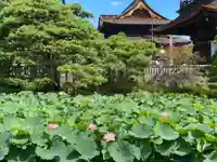 善光寺(長野県)