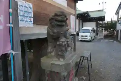 幡ケ谷氷川神社の狛犬