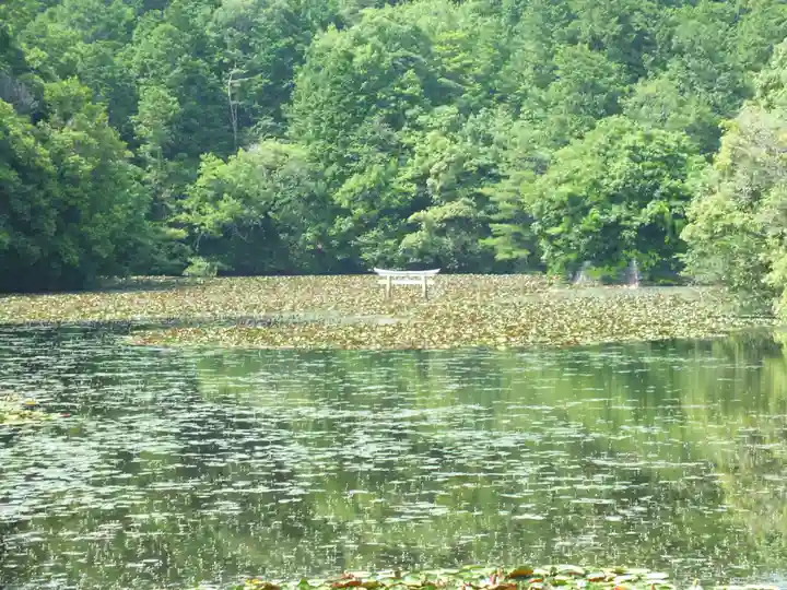 八幡神社(滋賀県)