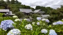 妙法生寺の建物その他