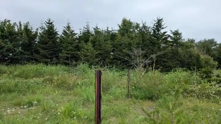 北里神社の自然