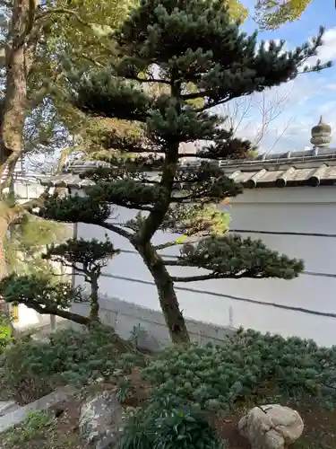 招善寺(京都府)
