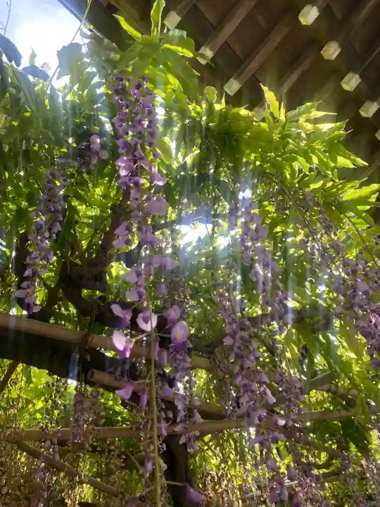 行興寺(静岡県)