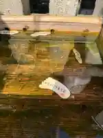 賀茂御祖神社(下鴨神社)(京都府)