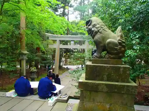 彌彦神社の狛犬