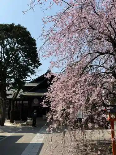 猿田彦神社(東京都)