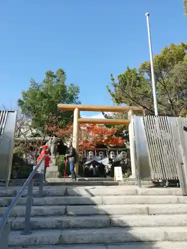 堀越神社の鳥居