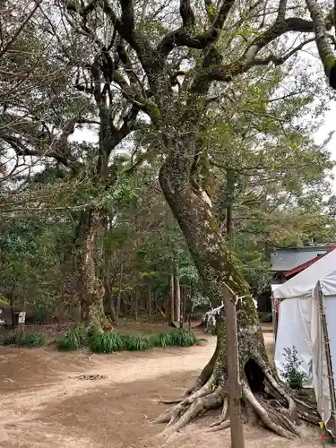 江田神社(宮崎県)