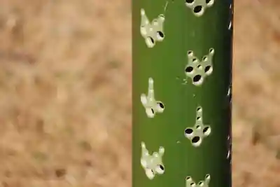 国宝 大法寺のその他建物