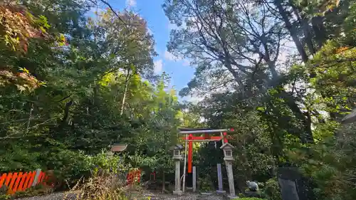 伏見稲荷大社(京都府)