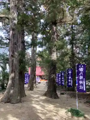 八幡神社(群馬県)