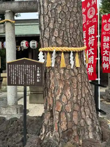 中野沼袋氷川神社の{uncategorized: "未分類", other: "その他", undefined: "問題あり", building: "その他建物", grave: "お墓", sacred_gate: "鳥居", guardian: "狛犬", statue: "像", buddha: "仏像", history: "歴史", nature: "自然", garden: "庭園", animal: "動物", pagoda: "塔", temizu: "手水舎", mountain_gate: "山門・神門", sanctuary: "本殿・本堂", subordinate: "末社・摂社", art: "芸術", scenery: "景色", jizo: "地蔵", ema: "絵馬", goshuin: "御朱印", omikuji: "おみくじ", items: "授与品その他", amulet: "お守り", goshuincho: "御朱印帳", eats: "食事", festival: "お祭り", votive_dance: "神楽", shichigosan: "七五三参", wedding: "結婚式", experience: "体験その他", initially: "初詣", around: "周辺", anti_infection: "感染症対策"}