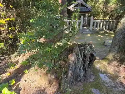 龍泉寺(大阪府)
