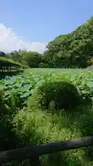 報徳二宮神社の周辺