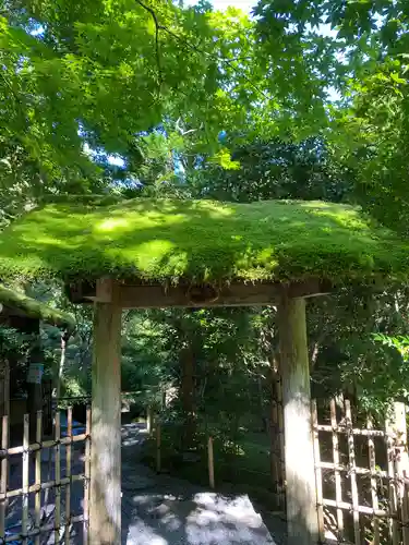 寂光院の鳥居