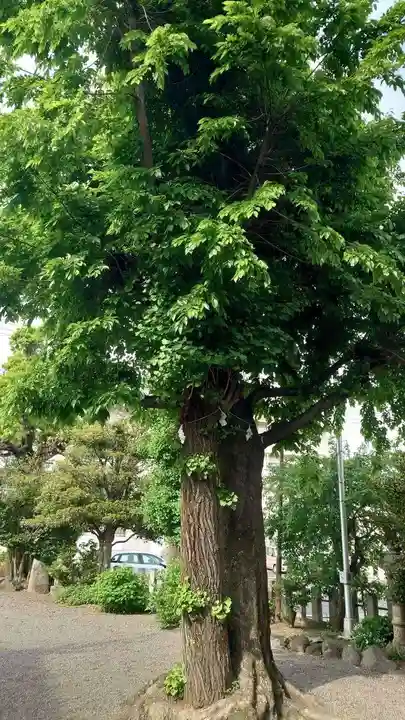常祗稲荷神社(群馬県)